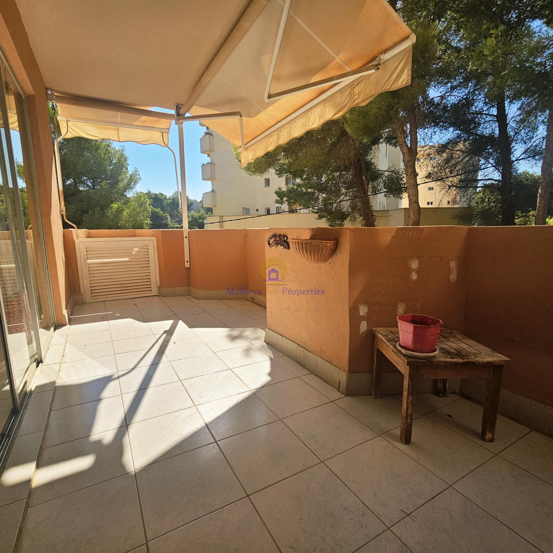 Terraza