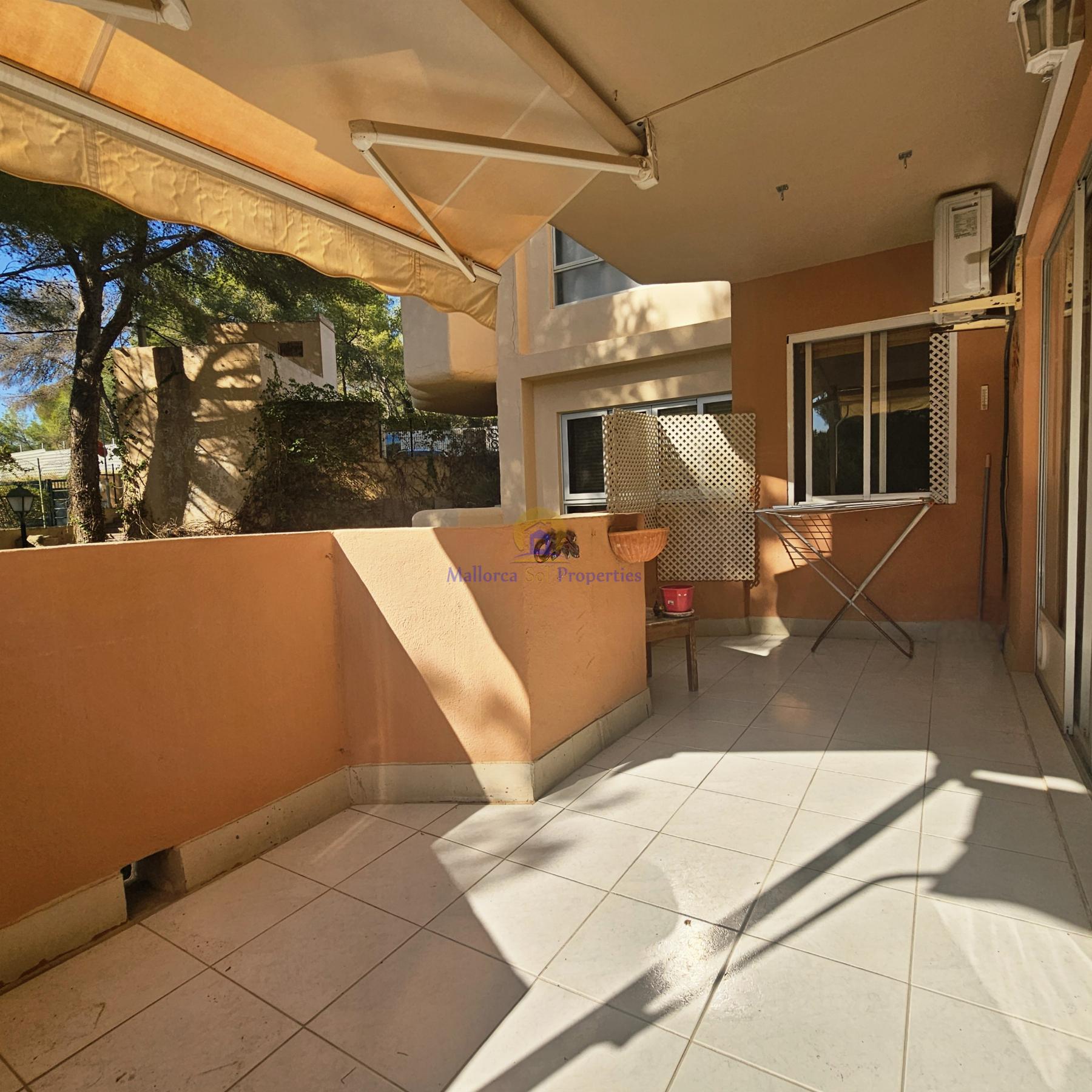 Terraza