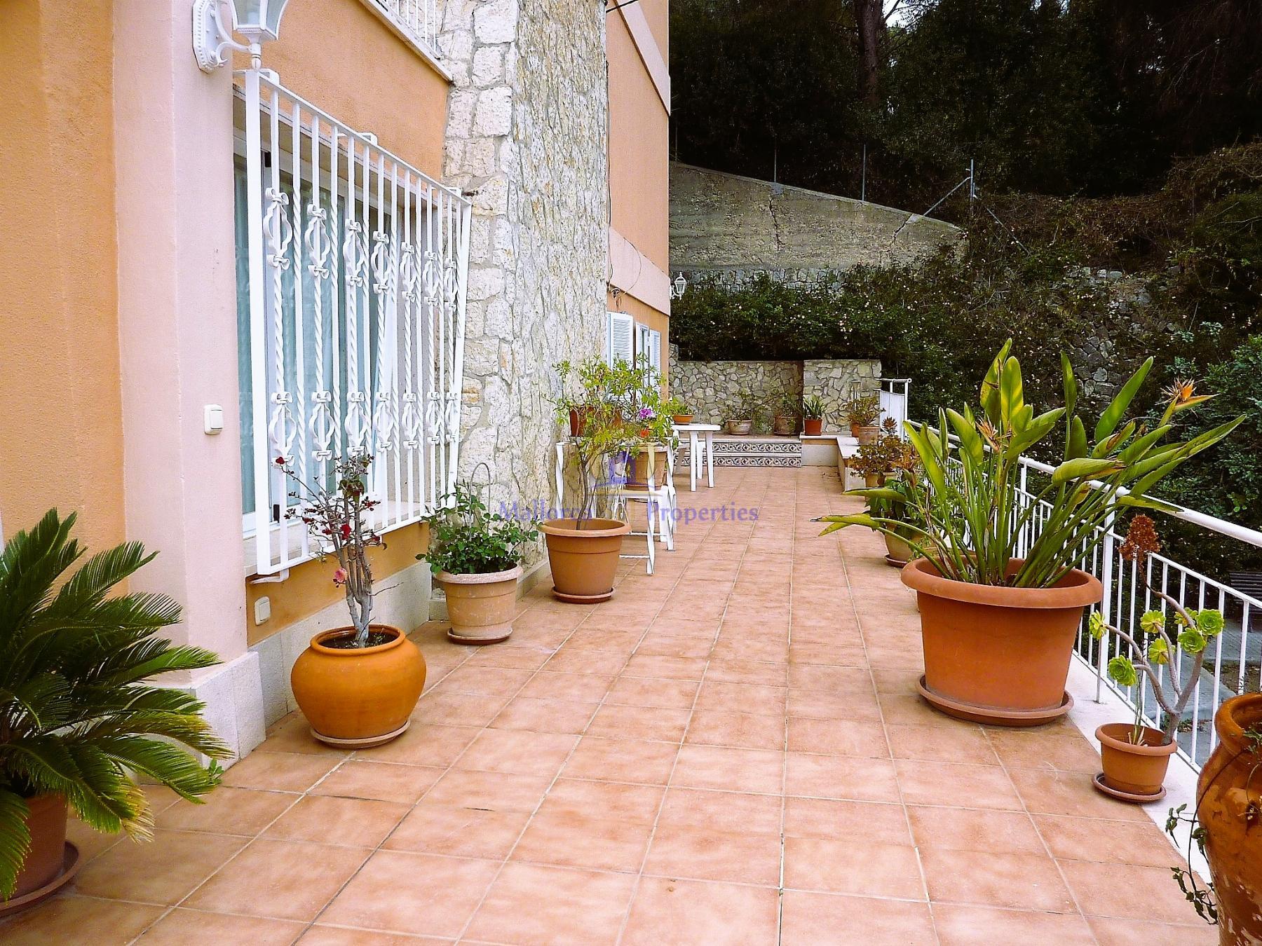 Terraza