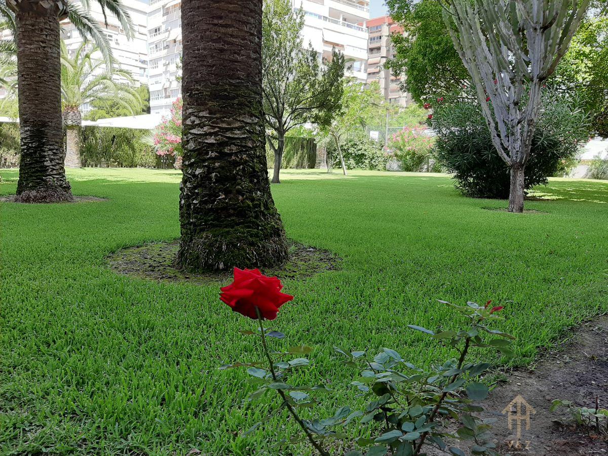 For sale of flat in Alicante