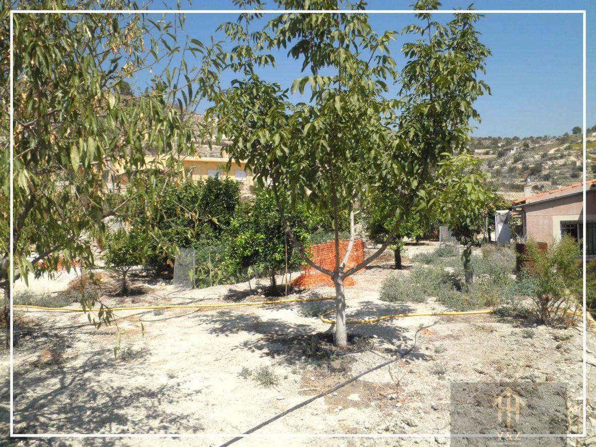 Vente de chalet dans Alicante