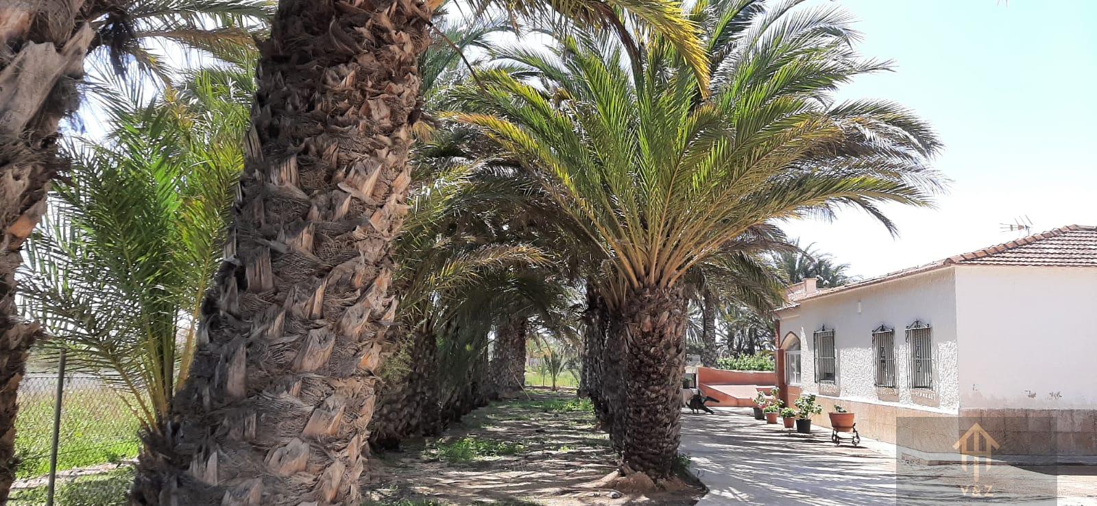 Jardín