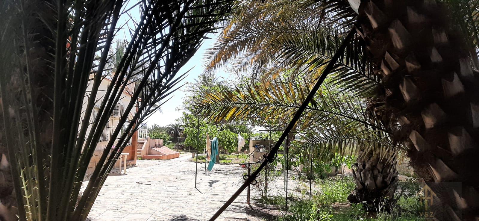 Jardín