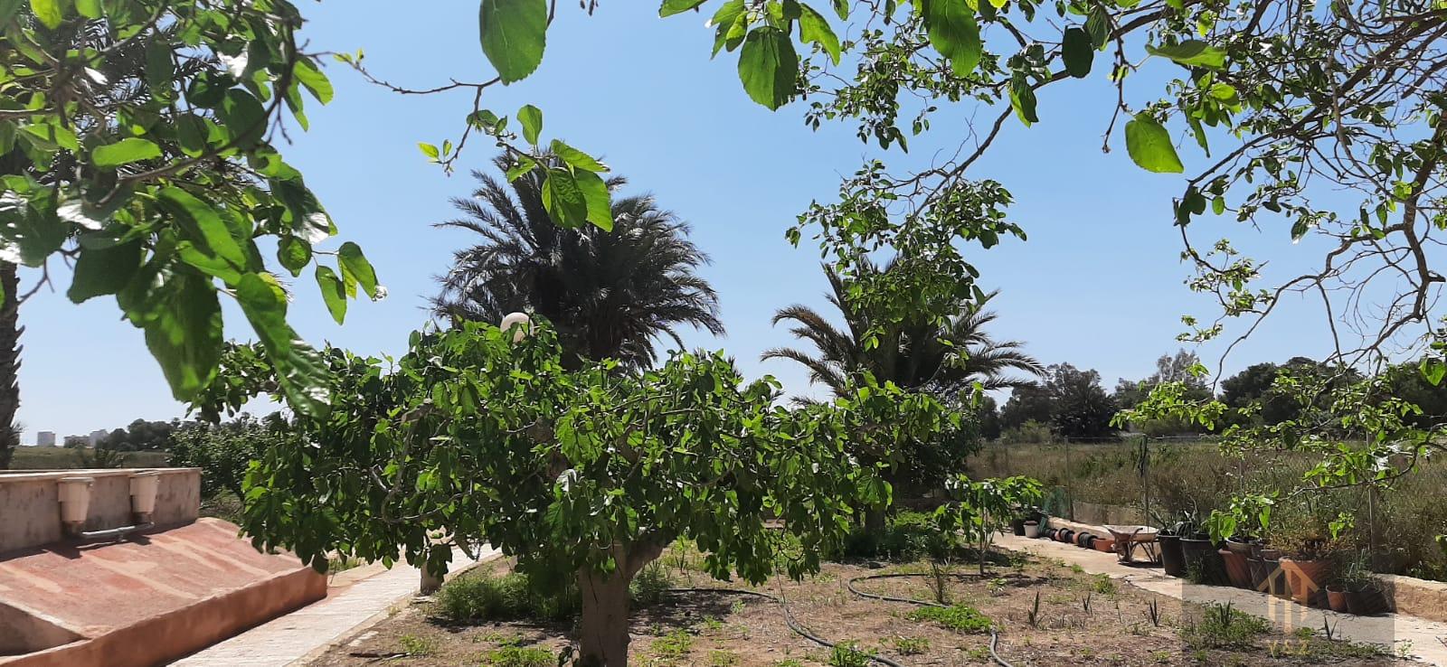 Jardín