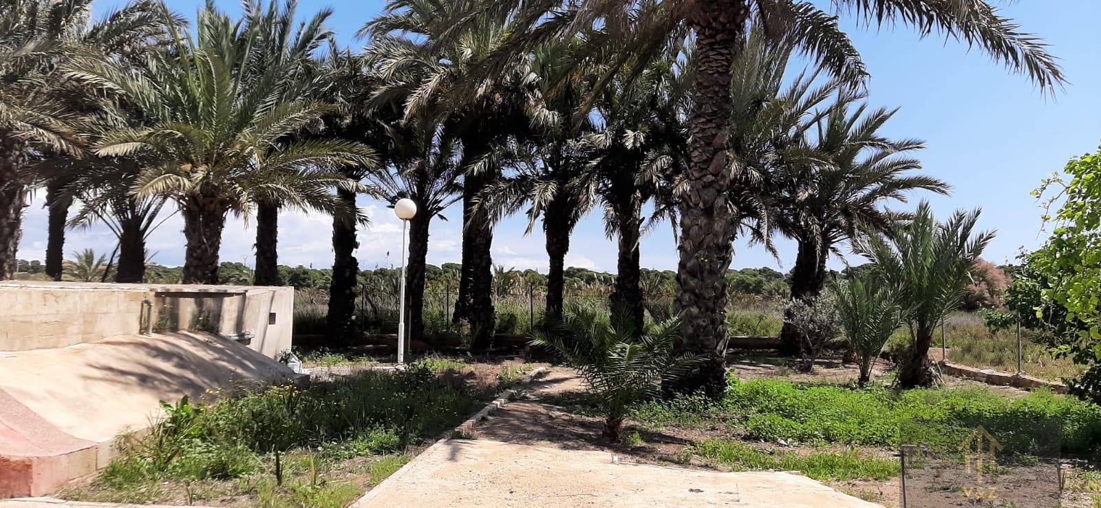 Jardín