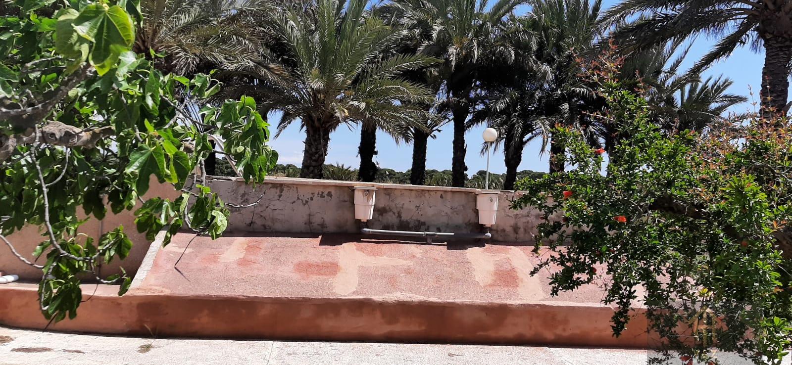 Jardín