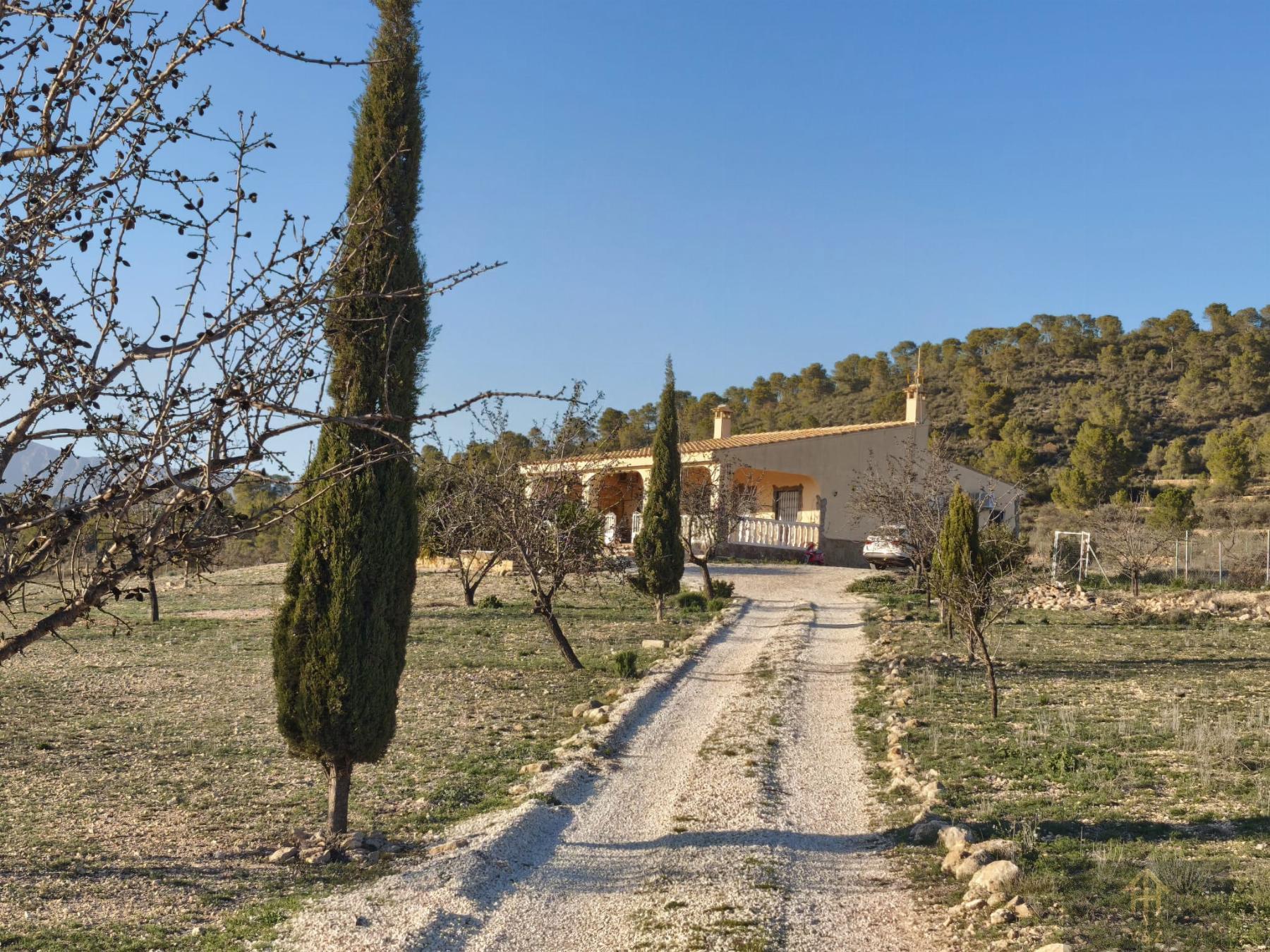 For sale of chalet in Monóvar-Monòver
