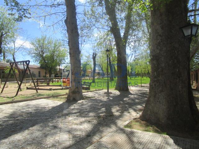 Jardí