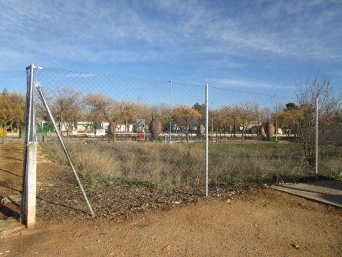 For sale of land in Valdepeñas