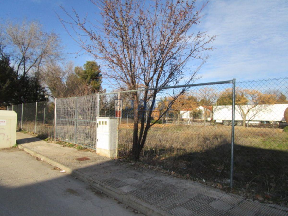 For sale of land in Valdepeñas