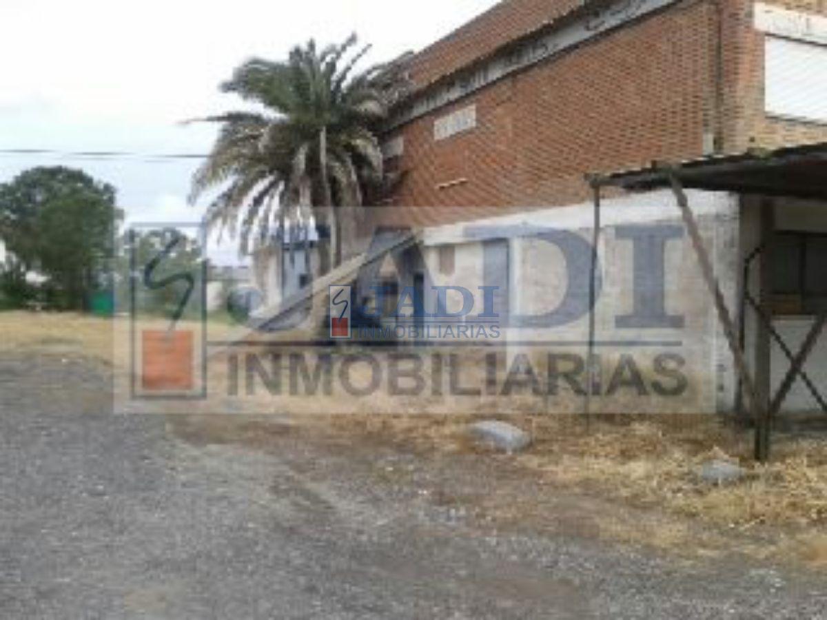 For sale of industrial plant/warehouse in Almuradiel
