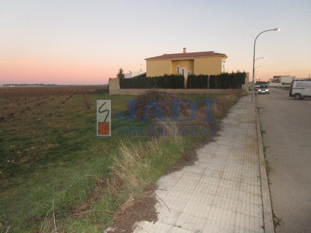 For sale of land in Valdepeñas