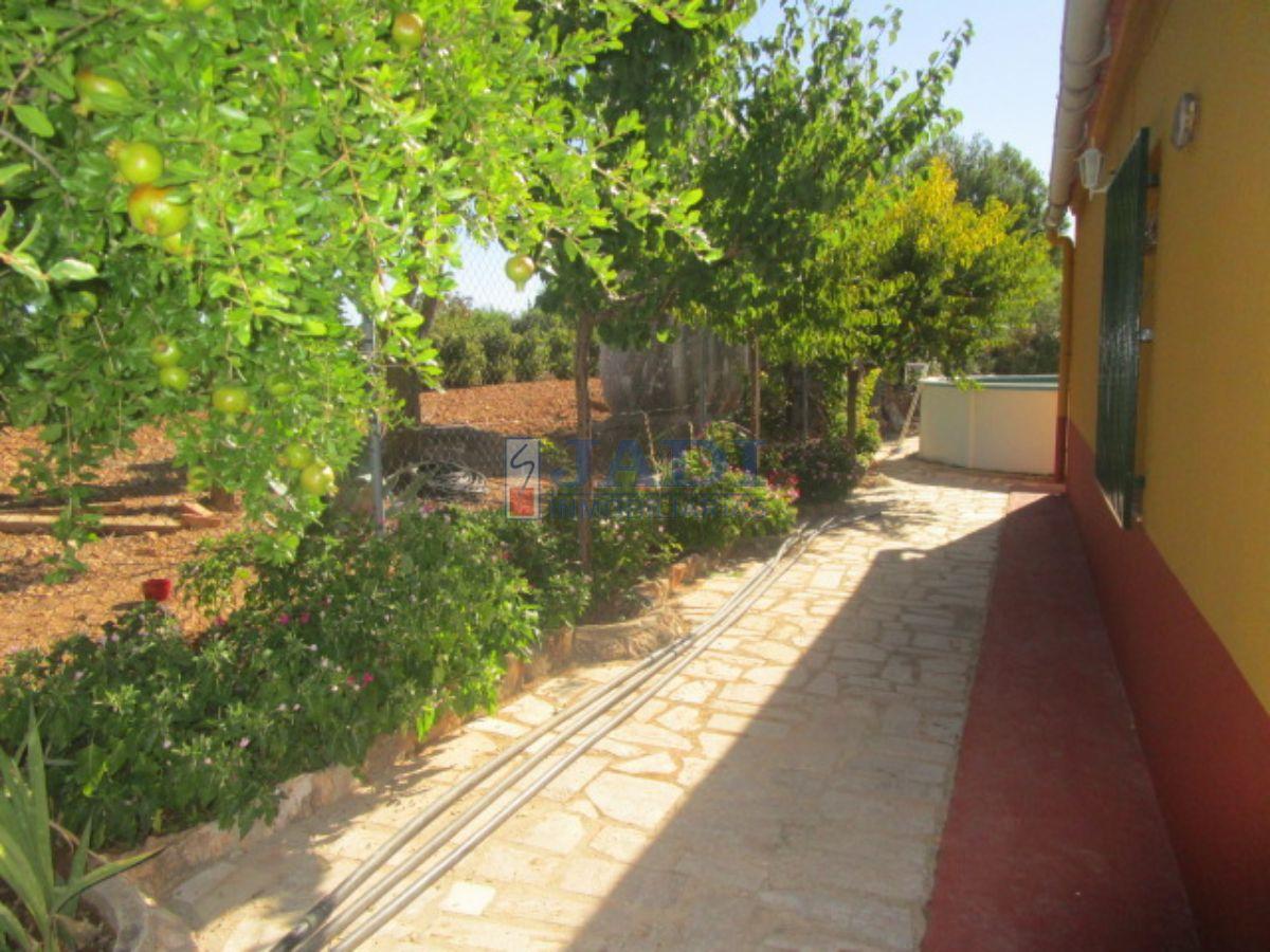 For sale of house in Valdepeñas