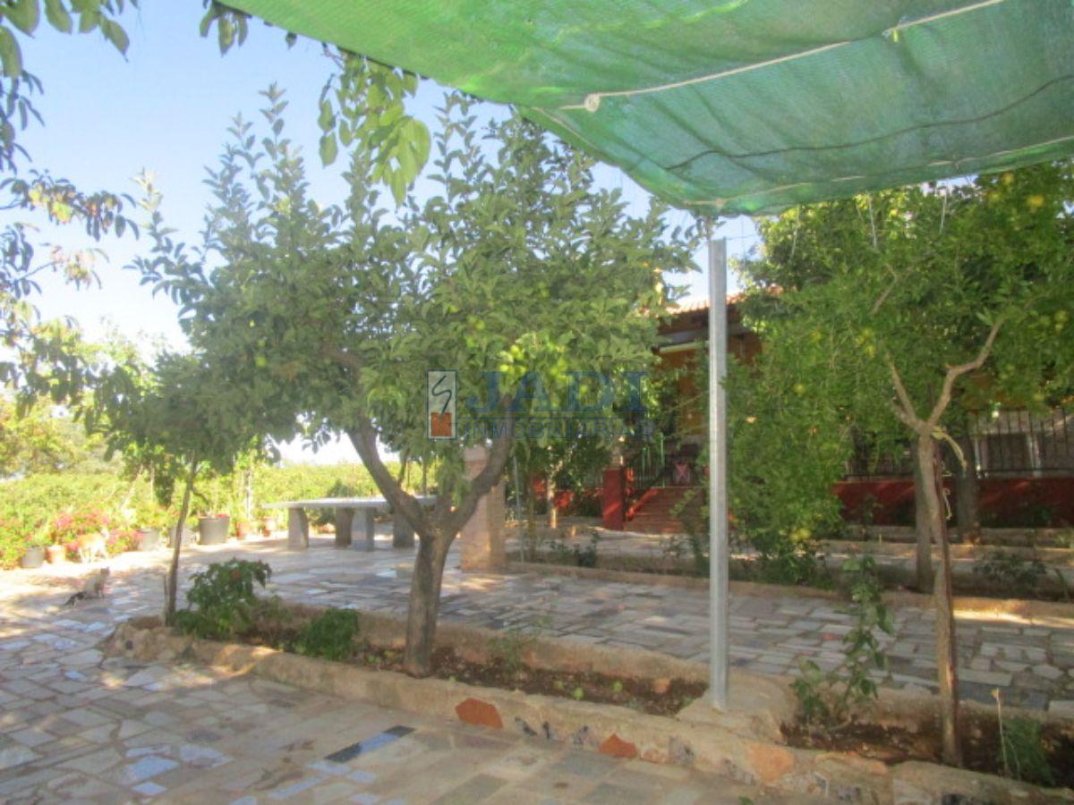 For sale of house in Valdepeñas