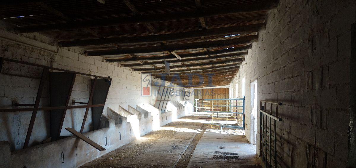 Venda de nau industrial a Valdepeñas
