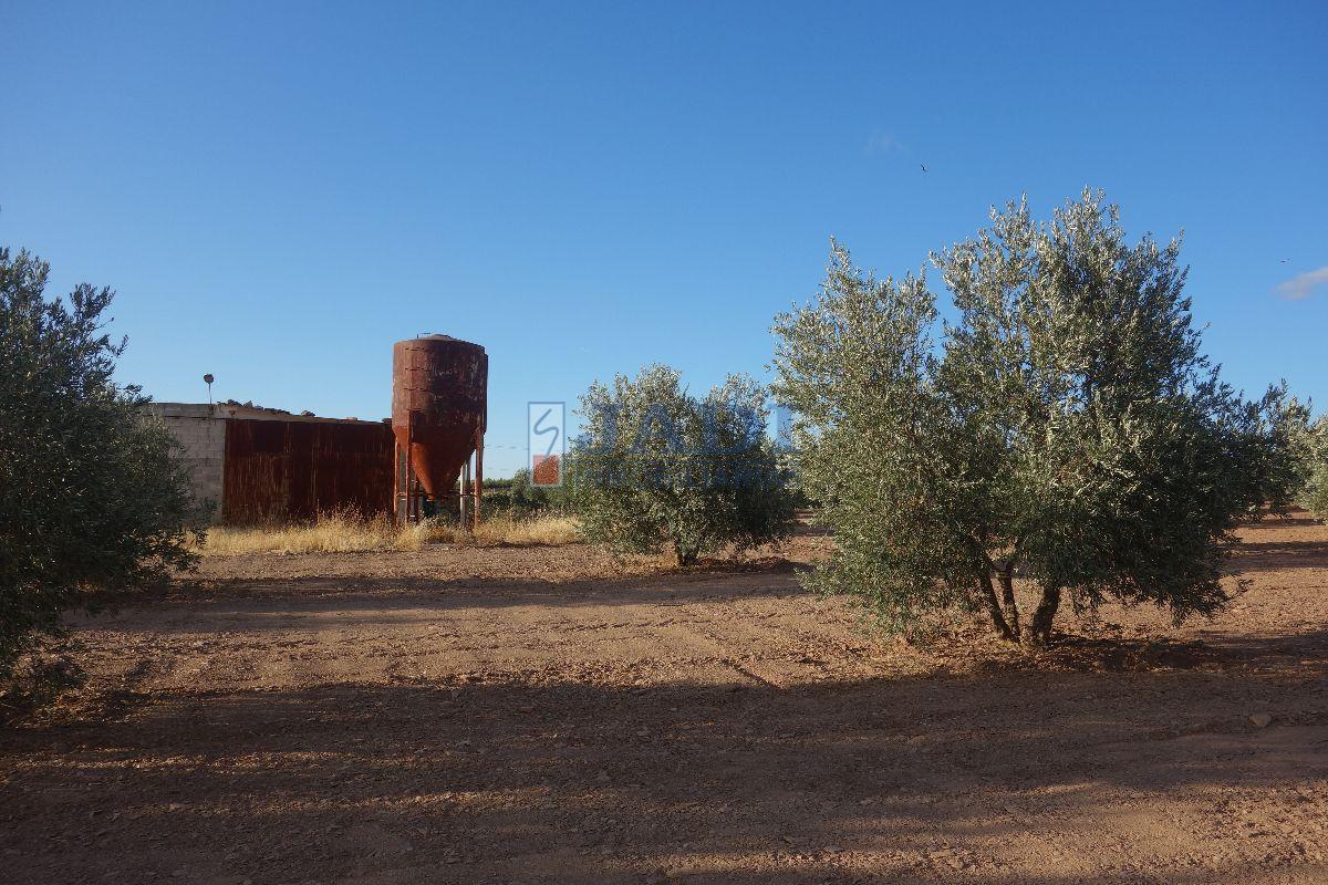 For sale of rural property in Valdepeñas