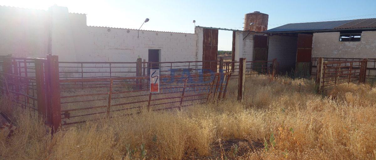 For sale of rural property in Valdepeñas