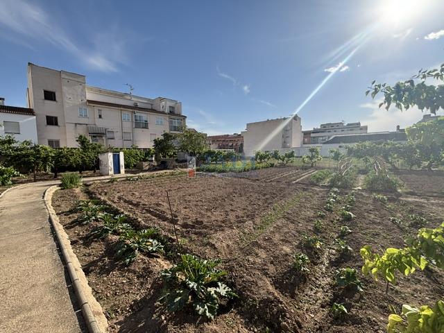 Venta de casa en Valdepeñas
