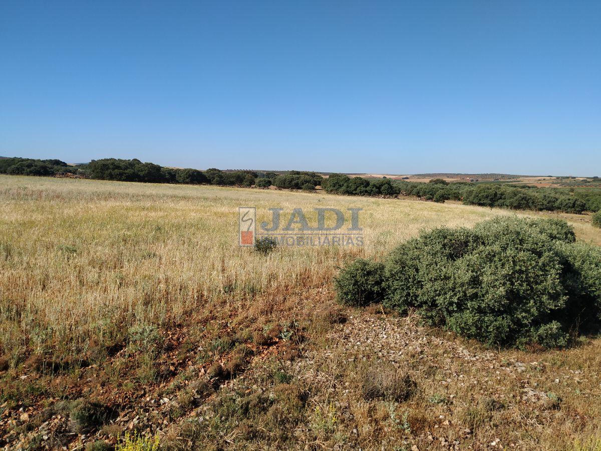 For sale of rural property in Alhambra