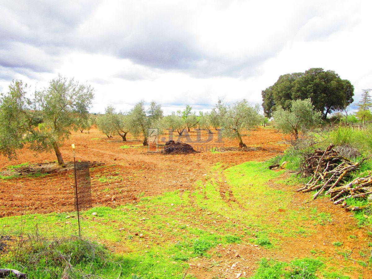 For sale of rural property in Valdepeñas