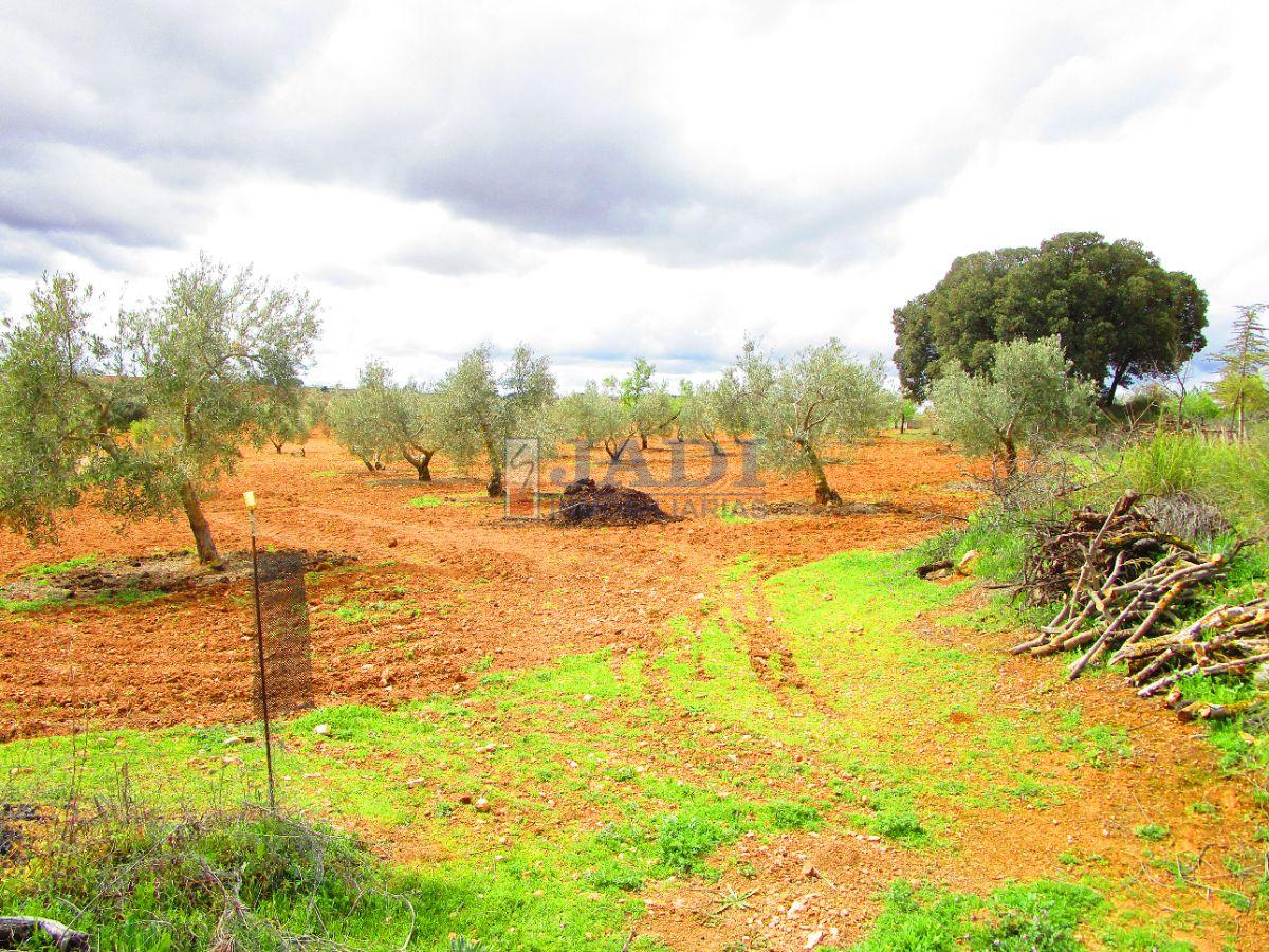 Venta de finca rústica en Valdepeñas