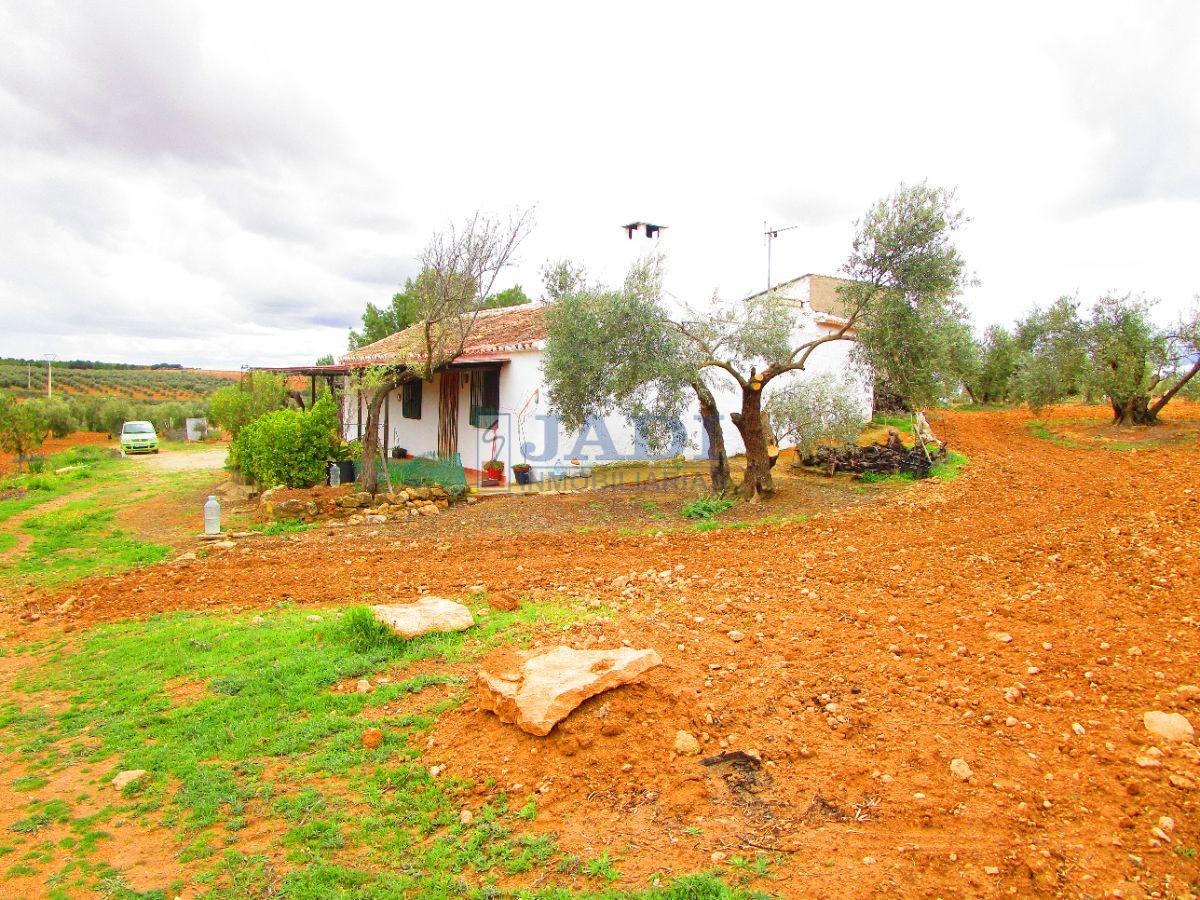 For sale of rural property in Valdepeñas