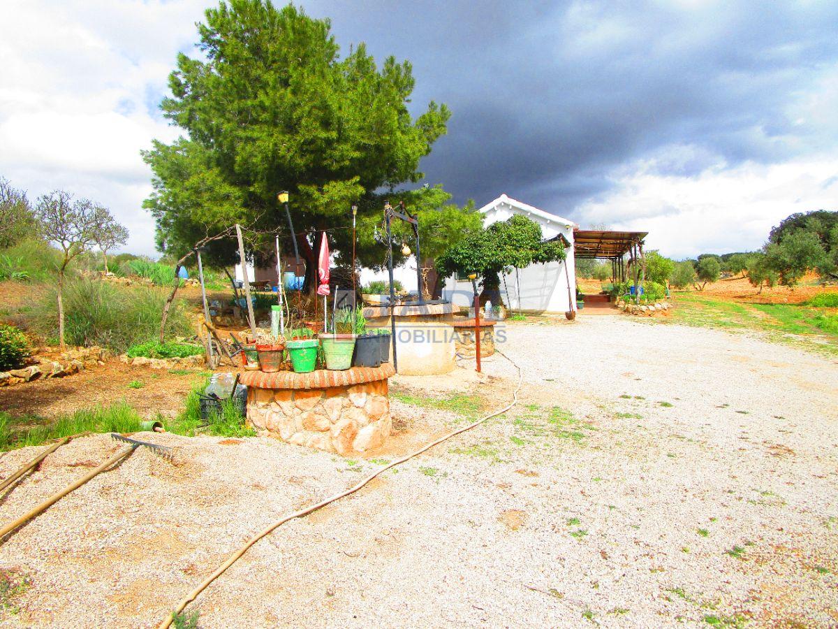 Finca en venta en CAMPO, Valdepeñas