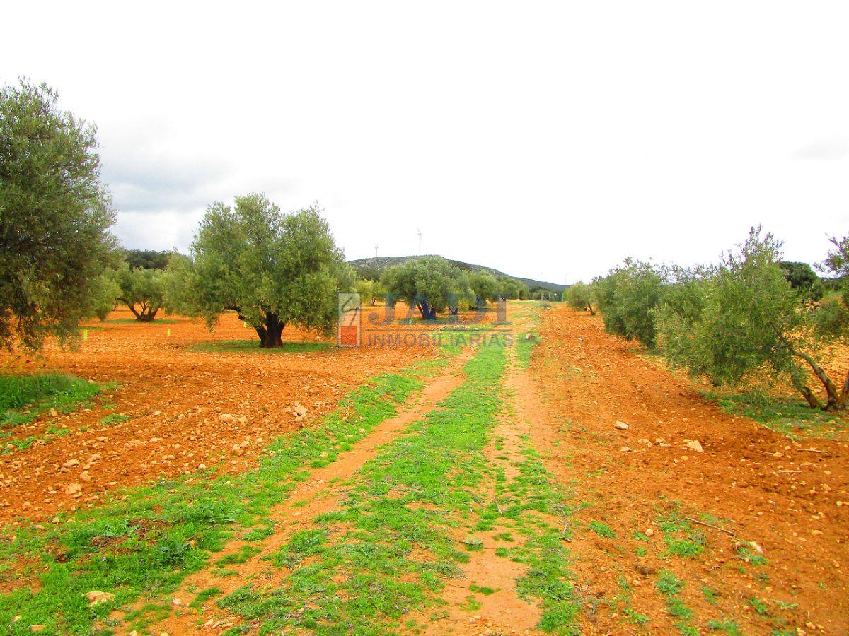 For sale of rural property in Valdepeñas