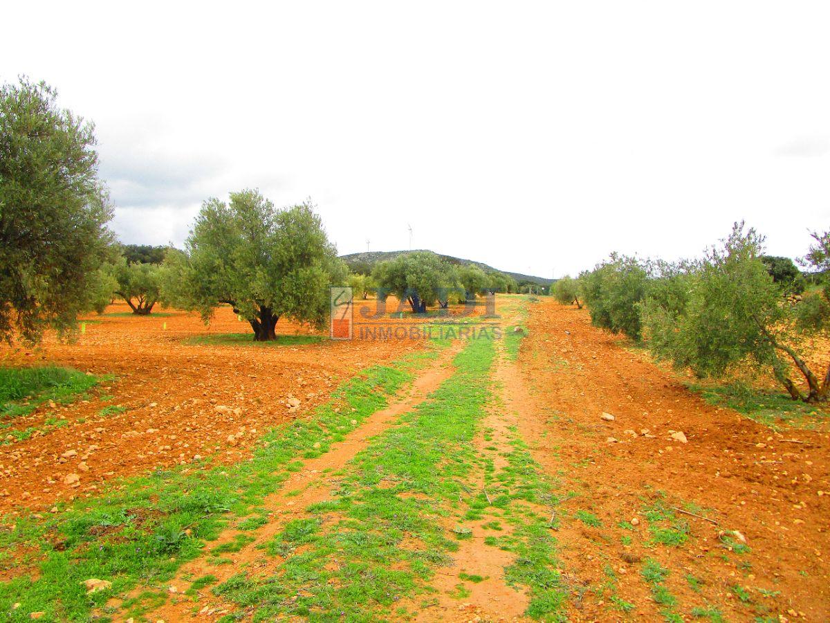 Venta de finca rústica en Valdepeñas