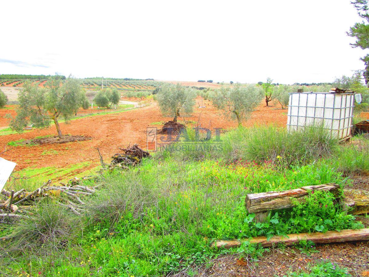 For sale of rural property in Valdepeñas