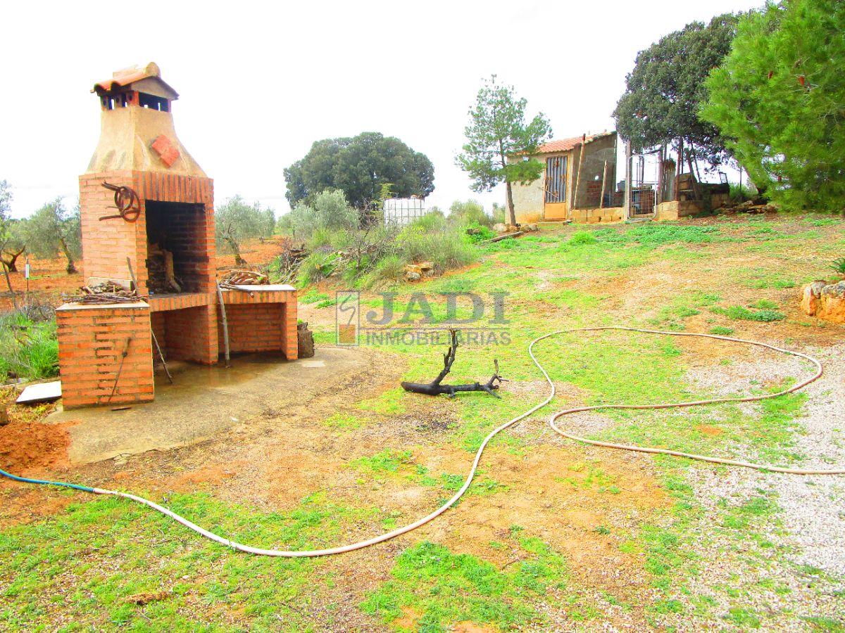 For sale of rural property in Valdepeñas