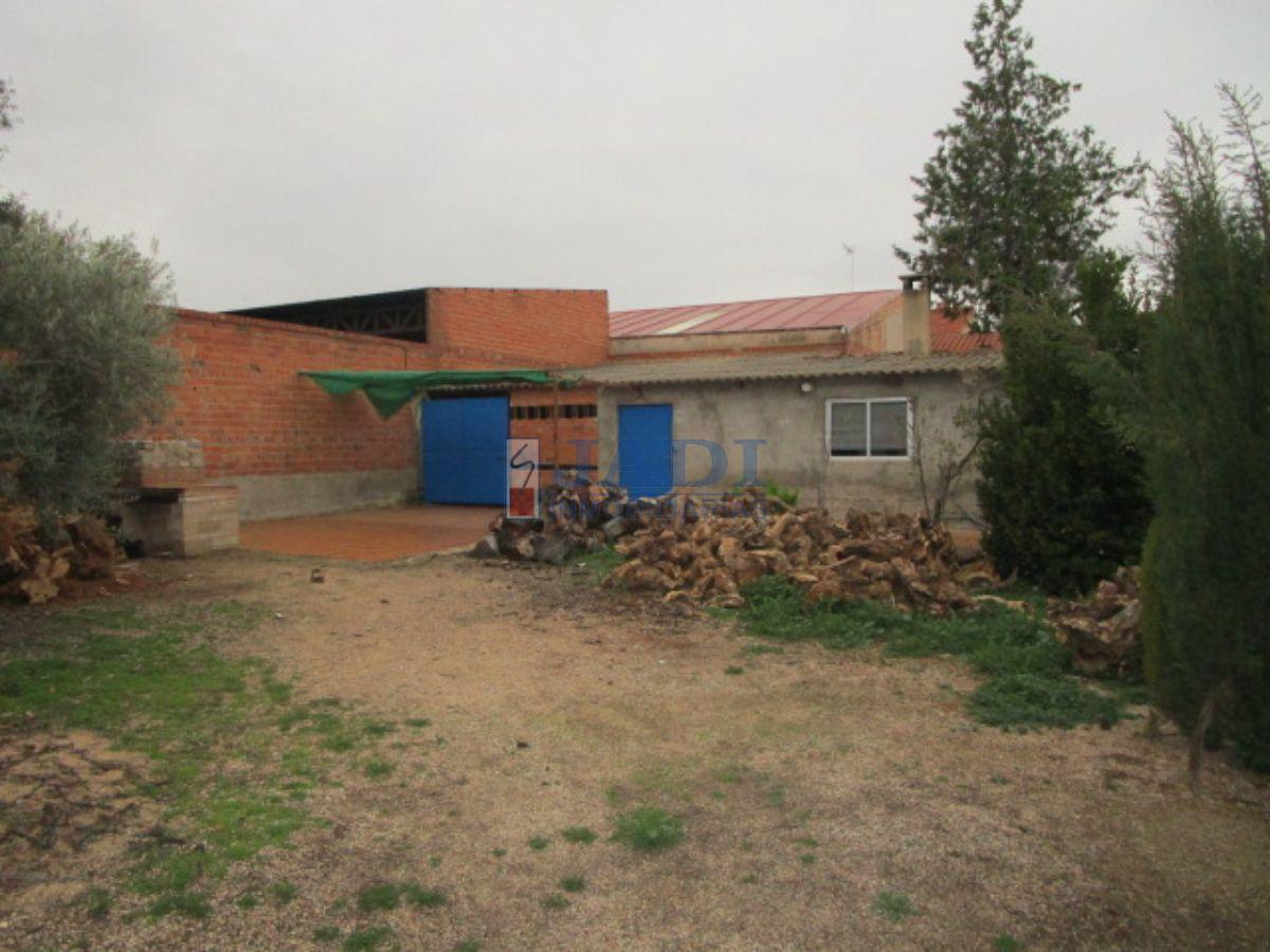 For sale of land in Valdepeñas