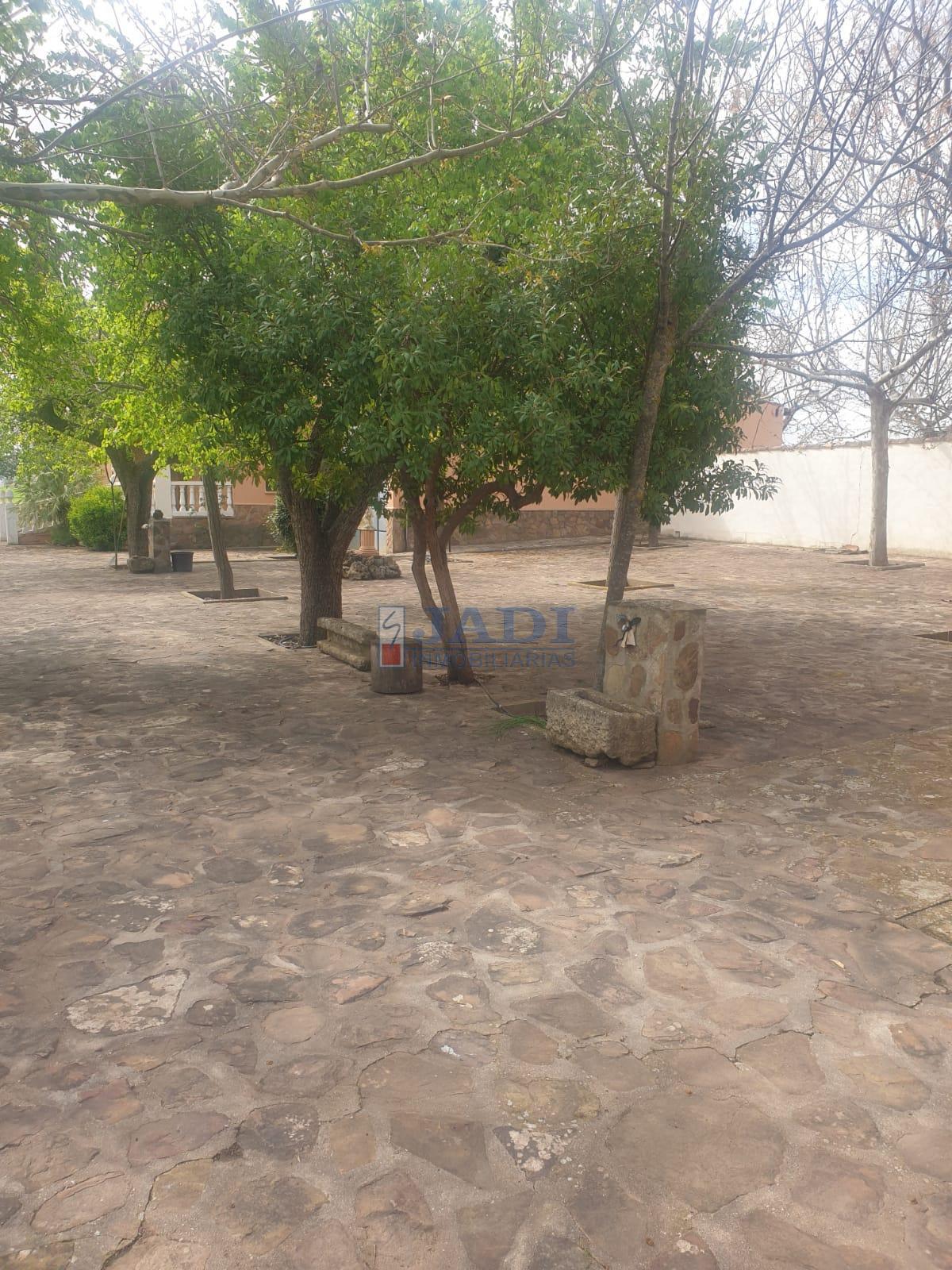 Vente de chalet dans Torrenueva