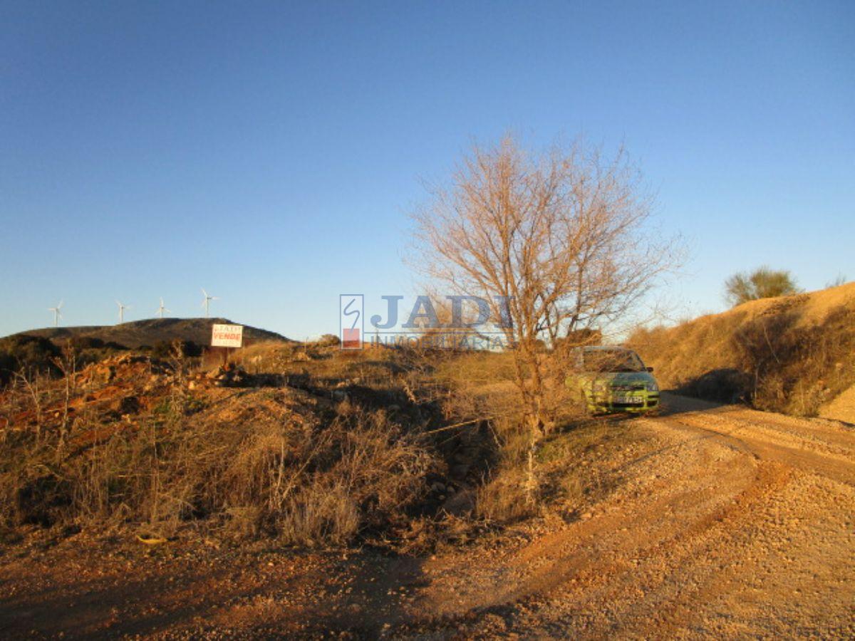 For sale of land in Valdepeñas