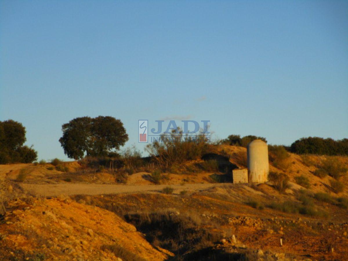 For sale of land in Valdepeñas