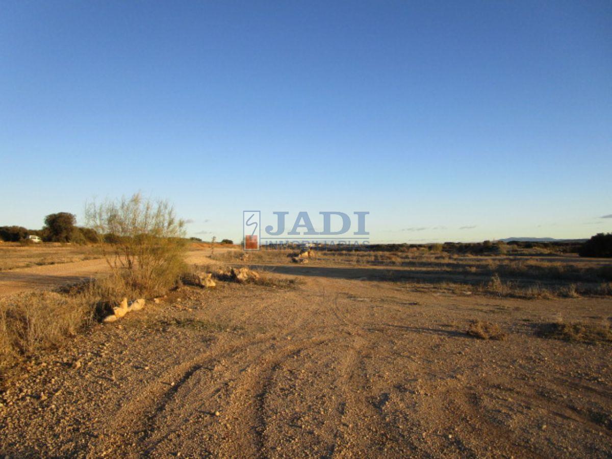 For sale of land in Valdepeñas