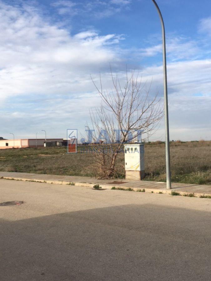 Vente de terrain dans Valdepeñas