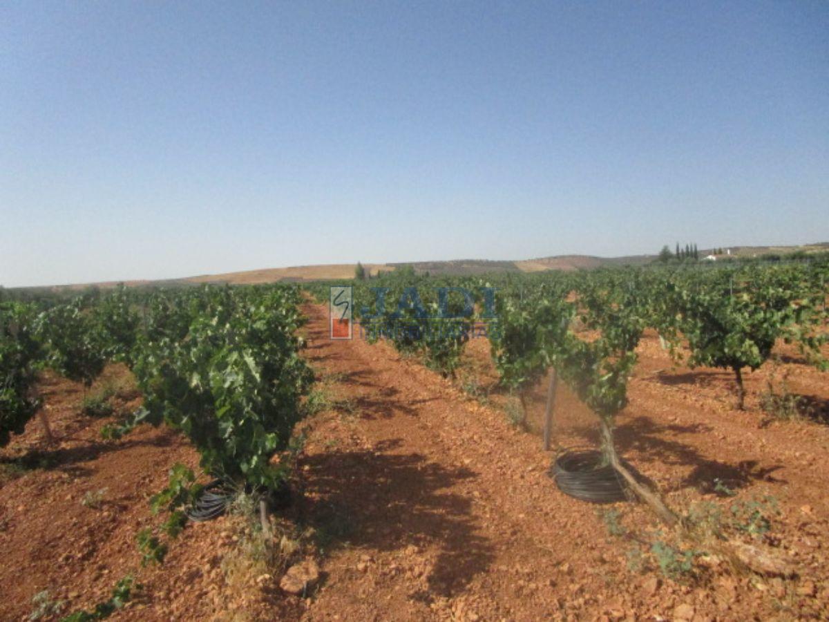 Venta de finca rústica en Valdepeñas