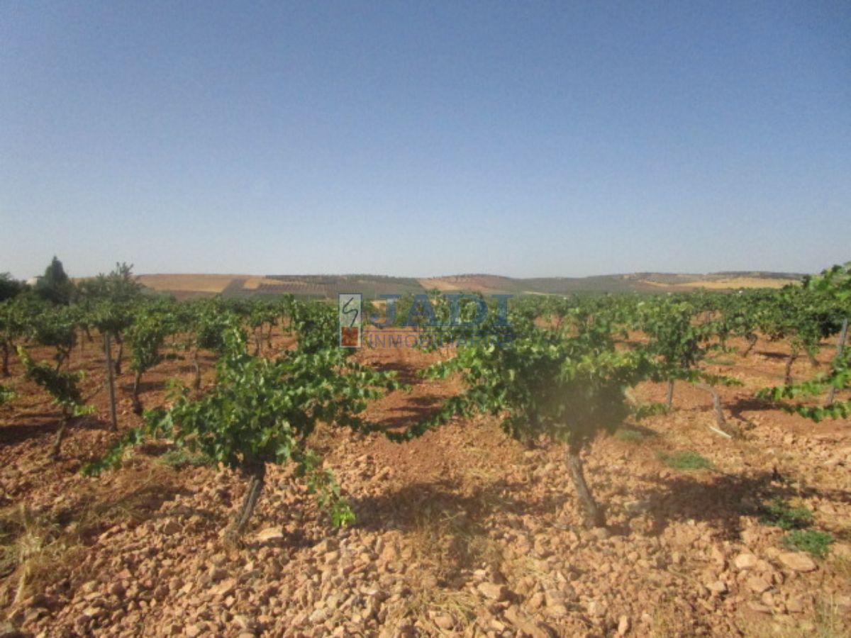 For sale of rural property in Valdepeñas
