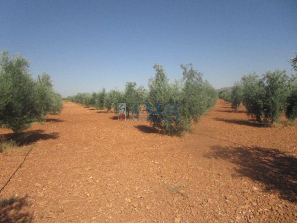 For sale of rural property in Valdepeñas