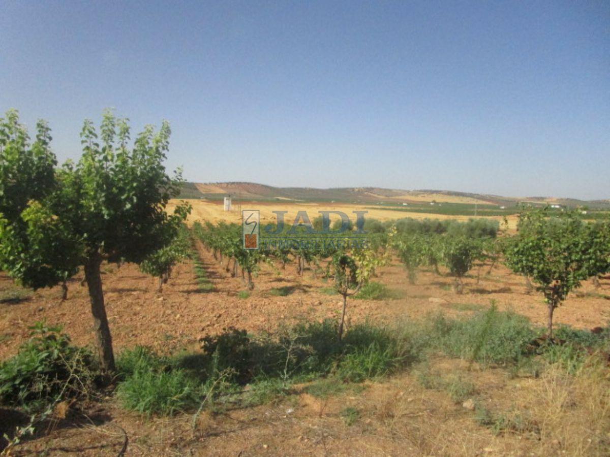 For sale of rural property in Valdepeñas