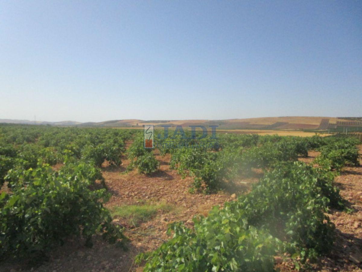 For sale of rural property in Valdepeñas