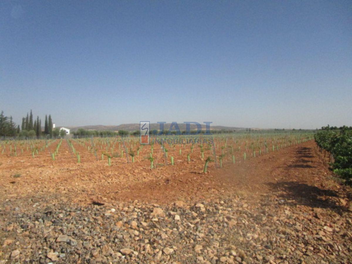 For sale of rural property in Valdepeñas