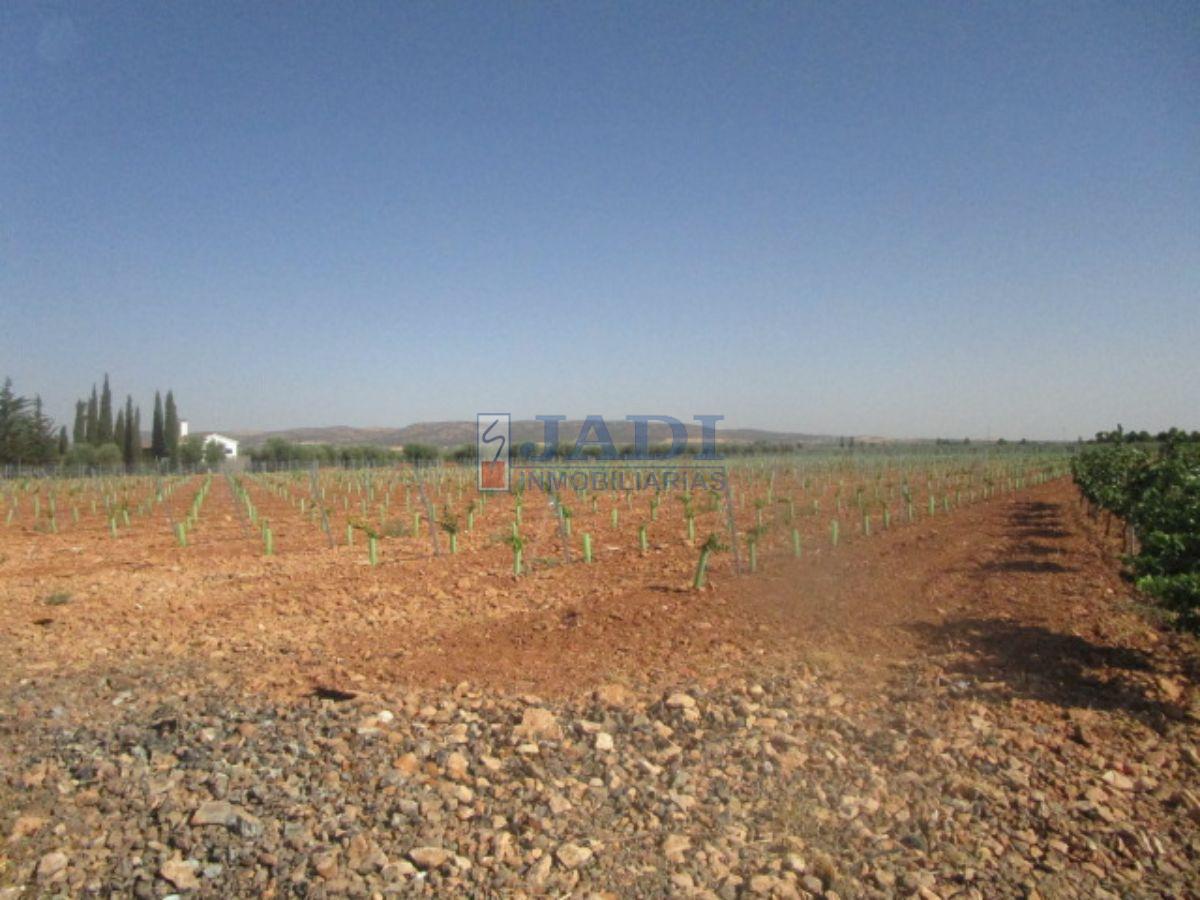 Venta de finca rústica en Valdepeñas