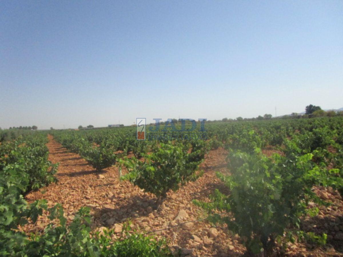 For sale of rural property in Valdepeñas