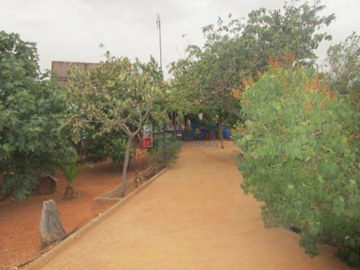 For sale of house in Valdepeñas