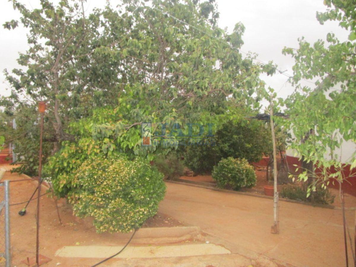 For sale of house in Valdepeñas