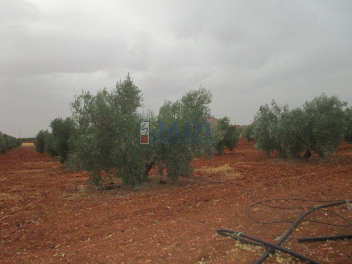 For sale of house in Valdepeñas