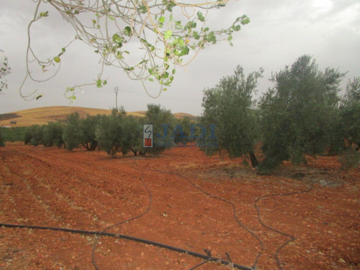 For sale of house in Valdepeñas