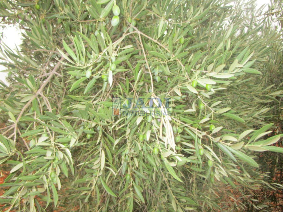 For sale of house in Valdepeñas